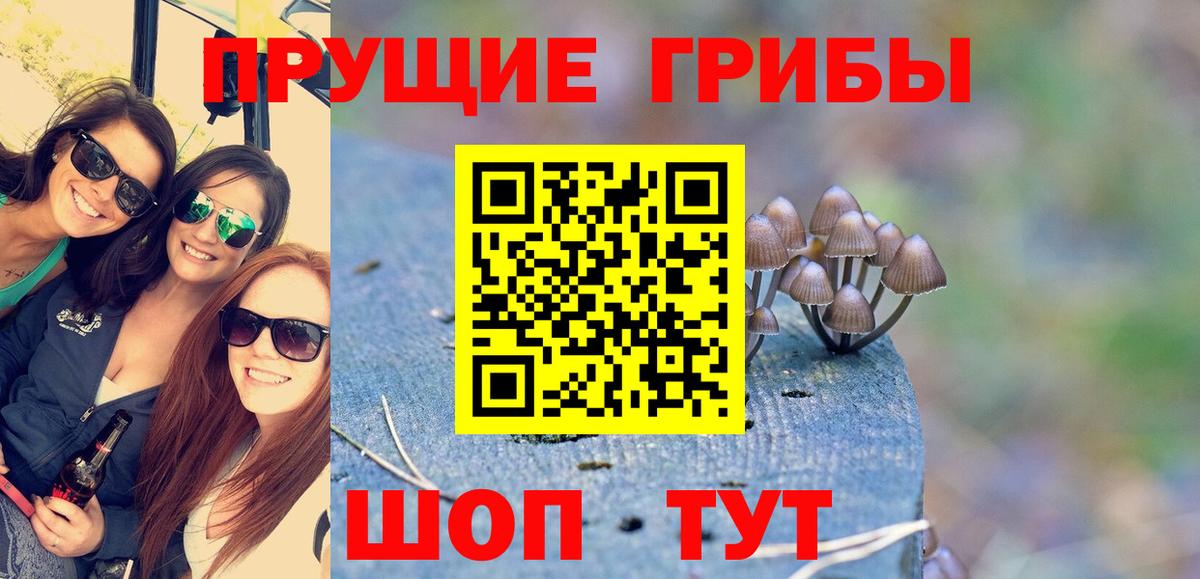 Уссурийск  Псилоцибиновые грибы мицелий  Вход с VPN 
